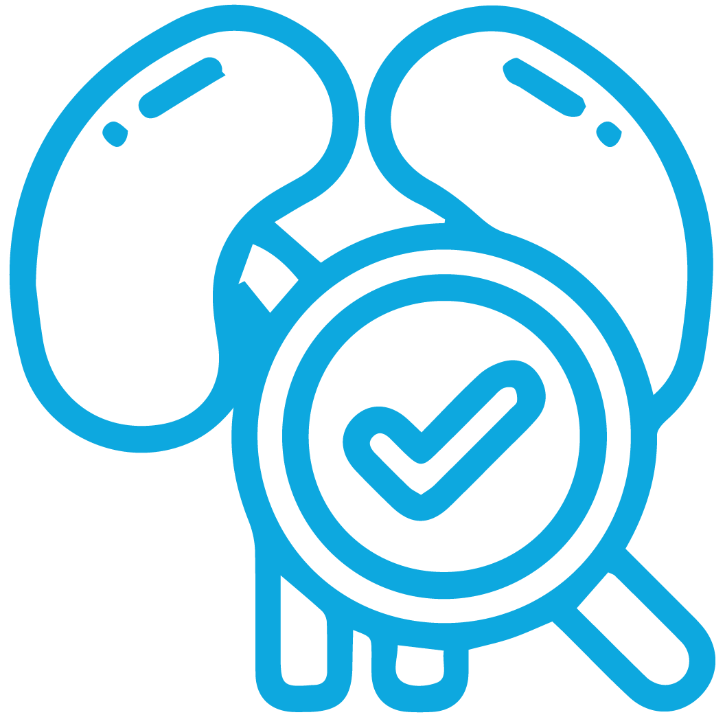 برنامج الكلى كير