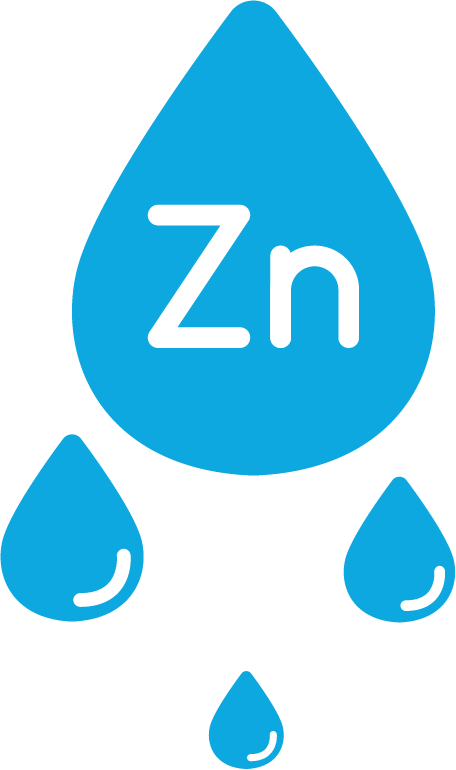 الزنك في الدم