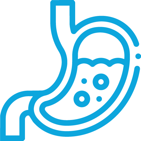 (باقة صحة الهضم وراحة المعدة)